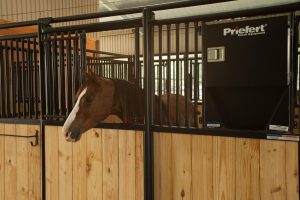 Stall Panels